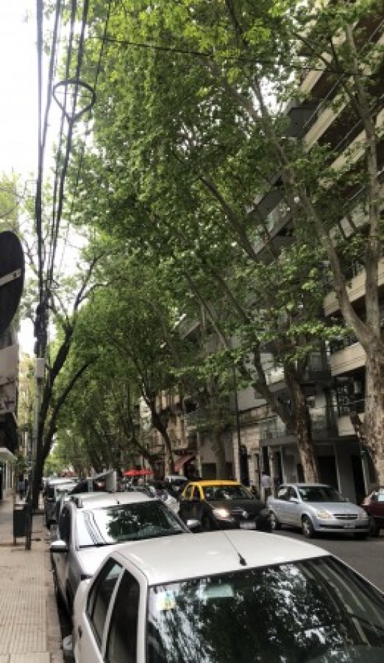 Oportunidad en Belgrano | 2 Ambientes con Patio | Bajas Expensas | Planta Baja | Ideal Vivienda o Inversion