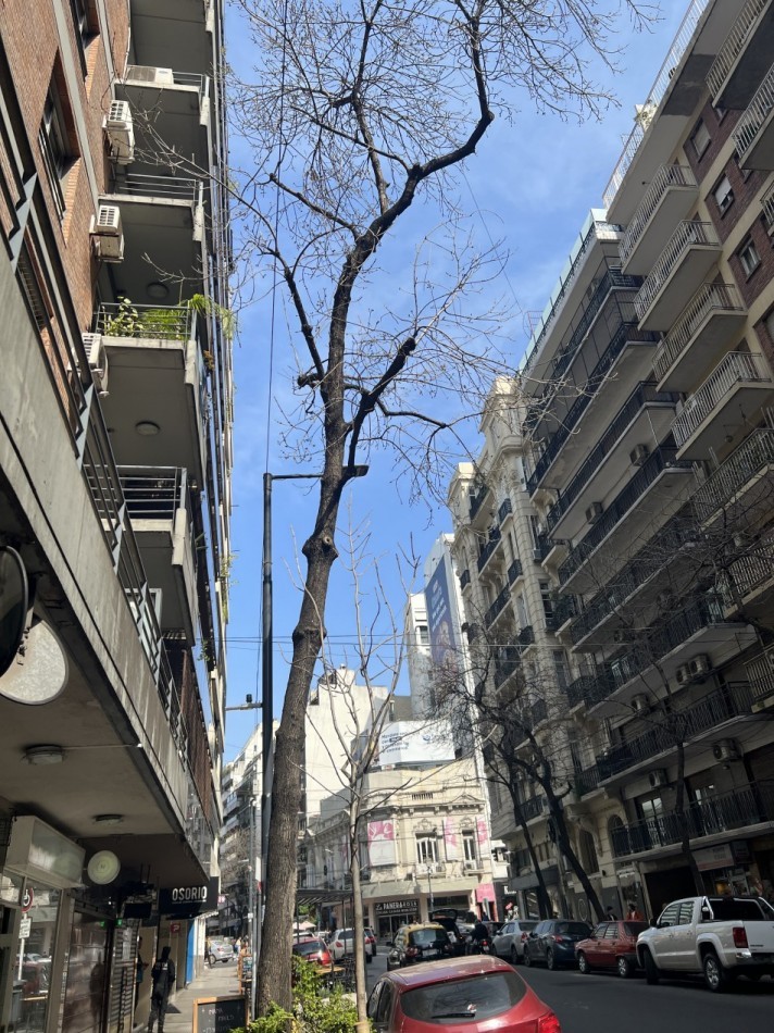AGUERO 1600 - a pasos de Av. Santa Fe - amplia terraza privada. RECOLETA ---se esta pintando a nuevo!
