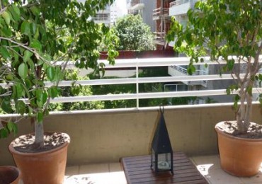 Arevalo  2100 - Palermo Hollywood - 2 dormit -Temporario disponible 28 dic-