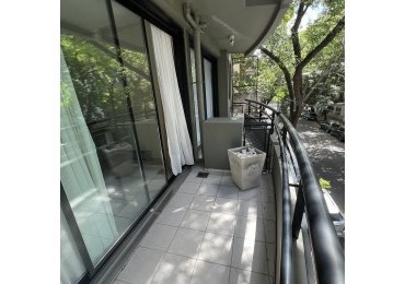 Las Cañitas - 2 ambientes, amplio dormitorio en suite , balcon, lavadero propio! Muy luminoso - 
